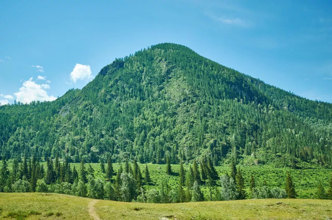 Гора Синюха на Алтае