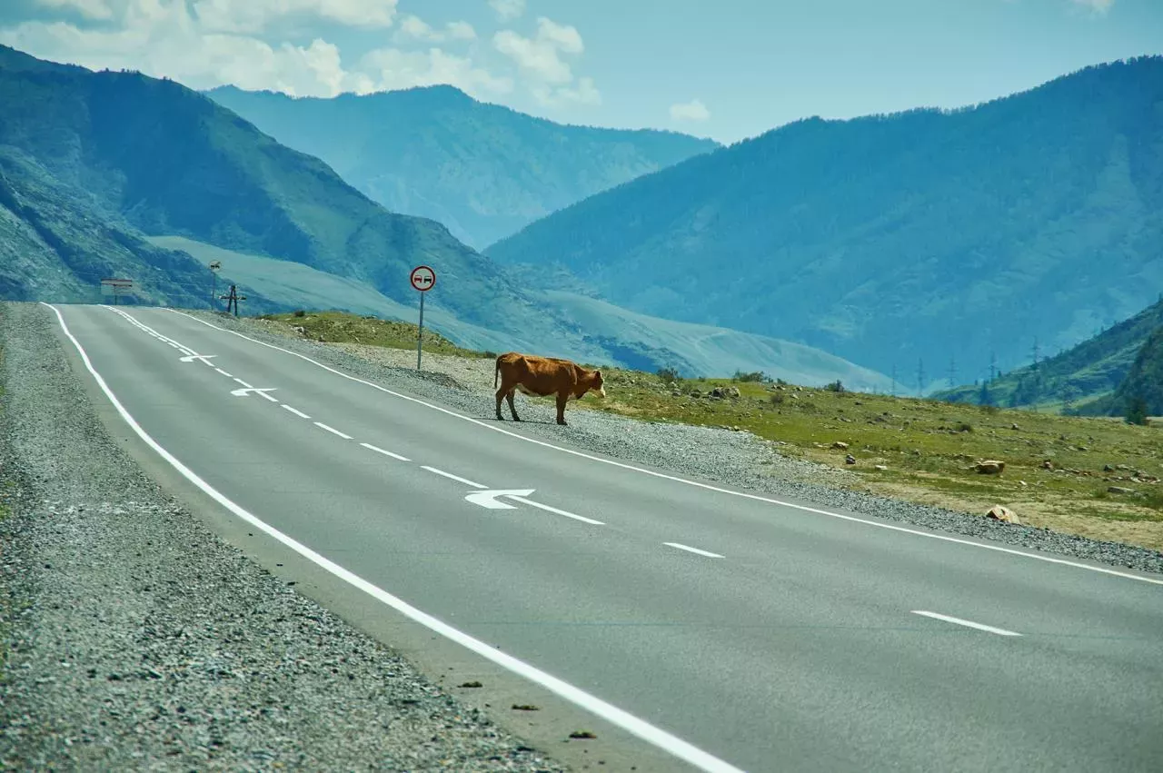 Чуйский тракт — история, где проходит и что посмотреть